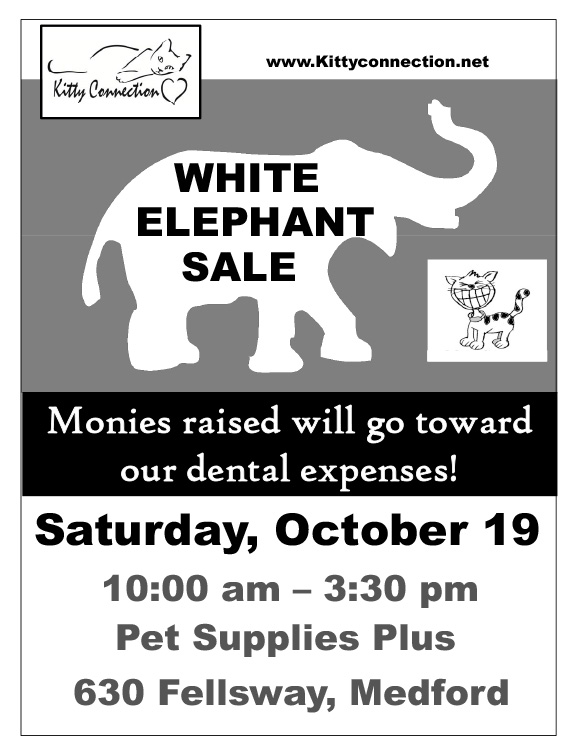 white-elephant-sale-10-19-pet-supplies-plus-medford-kitty-connection