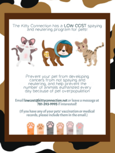 Low Cost Spay & Neuter