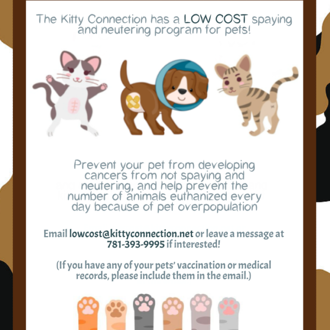 Low Cost Spay & Neuter